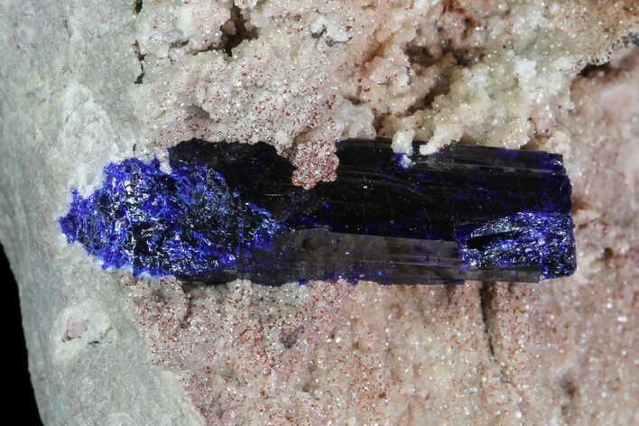 Azurite Crystals on Druzy Quartz - Morocco #90334